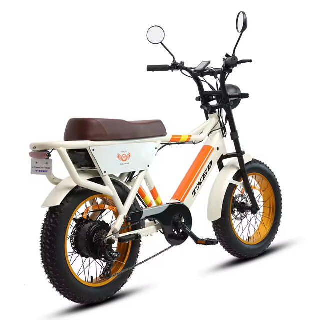 TXED Fashion 20 Inch Popular Snow Fat Tire City Electric Bike 1000w Motor E Motorcycle Bike Electric Bicycle for Adult Ebike