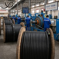 Cable de Alimentación de PVC Blindado con 4 Núcleos de Cobre XLPE STA, Cu/XLPE/PVC 0.6/1kV, Entierro Directo Subterráneo, Calidad Garantizada CE