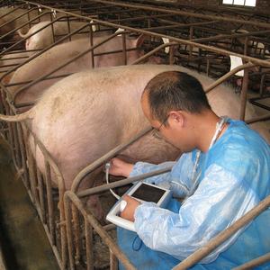 Alat USG Sapi Sektor Mekanik Digital Penuh KX-5100 Murah - Product Image 4