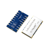 2 PCS/lot LoRa1262F30 1.5W High Power 868MHz/915MHz SX1262 Chip 7KM Long Distance RF Module