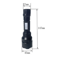 Lampe UV à ondes courtes et longues UVC/UVA alimentée par batterie, lampe de poche Portable 250-260nm