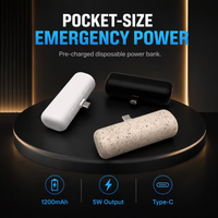 Chargeur de téléphone jetable, batterie externe d'urgence 2000 mAh, mini batterie portable à usage unique, USB C pour les voyages, cadeau