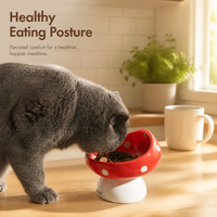 Bol ergonomique en céramique antidérapant en forme de champignon pour animaux de compagnie, facile à nettoyer, anti-éclaboussures