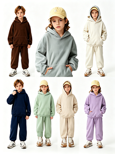 <span class=keywords><strong>Sweat</strong></span>-shirt à capuche pour enfants de haute qualité, couleur unie, style décontracté, en sherpa, laine d'automne, cachemire, ensemble de vêtements de sport pour enfants, vente en gros - Product Image 5