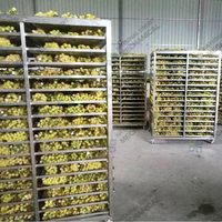 Séchoir industriel à pompe à chaleur 1 tonne pour ligne de production de déshydratation alimentaire, séchoir à raisins secs, machine de séchage