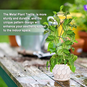 <span class=keywords><strong>Treillis</strong></span> de jardin Support <span class=keywords><strong>pour</strong></span> plantes <span class=keywords><strong>grimpantes</strong></span> Supports pliables <span class=keywords><strong>pour</strong></span> vignes et <span class=keywords><strong>fleurs</strong></span> <span class=keywords><strong>Treillis</strong></span> en fil métallique Panneaux de grille <span class=keywords><strong>pour</strong></span> lierre rose raisin C - Product Image 6