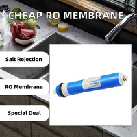Filtres à eau en gros personnalisables à débit élevé avec membrane RO manuelle 75/100/400 GPD pour usage domestique, VR, voiture et sous évier