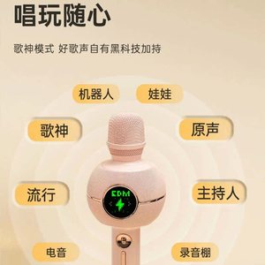 Divoom Karaoke Pro <b>Bluetooth</b> <b>Microphone</b> Speaker All In One <b>Wireless</b> Handheld With Display For Home KTV Live Streaming - Product Image 3