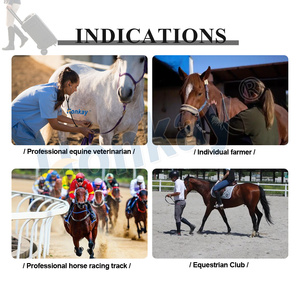 Équipement de thérapie par ondes de choc avancé pour chevaux, machine professionnelle à ondes de choc pour le soulagement de la douleur vétérinaire - Product Image 4