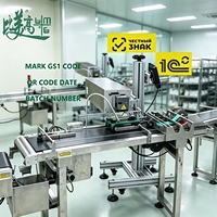 Testeur d'emballage pour machine de marquage laser CO2, caméra de détection pour l'impression de date sur les sacs d'emballage souple, conforme à la norme Chestny Znak