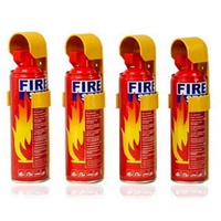 Extincteur de voiture en mousse de 1000 ml, mini, simple, portable, avec personnalisation