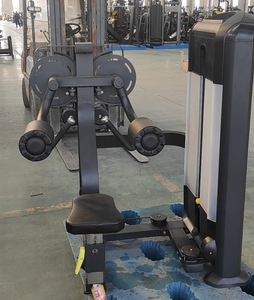 Hot-sale <strong>Matrix</strong> Lateral Raise Machine Commercial Fitness <strong>Gym</strong> <strong>Equipment</strong> Sports Workout <strong>Equipment</strong> - Product Image 2