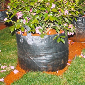 HOKBG 100 Litres Factory wholesale Anti-UV Agriculture Planting bag Eco-friendly Garden raised bed sturdy PP plastic Bonsai pot