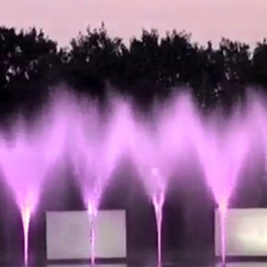 Características del agua del parque Variedad que cambia Fuente de agua flotante de acero inoxidable para bailar al aire libre