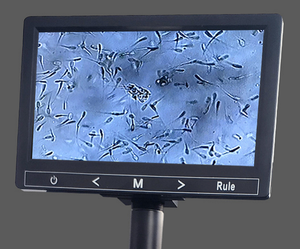 인공 수정 악기 돼지 정액 현미경 - Product Image 5