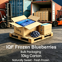 Hoge kwaliteit bulk IQF diepvriesblauwe bessen 10kg fruitverpakking Goede prijs voor hoogwaardig diepvriesfruit
