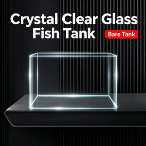 Aquarium domestique en verre incurvé - Petit aquarium écologique pour poissons et tortues - Product Image 5