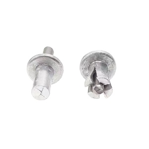 Rivets de fixation tout <span class=keywords><strong>aluminium</strong></span> M5 M6.4, goupilles d'expansion à percussion, rivets aveugles à tête ronde et plate à simple face pour fixation de tôles - Product Image 2