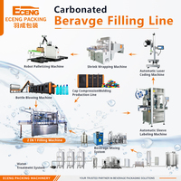 Ligne de production de boissons gazeuses 16000 BPH A à Z, machine de fabrication d'eau pétillante, usine d'emballage de boissons gazeuses