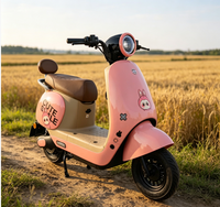 Véhicules électriques à deux roues pour loisirs en plein air, avec une structure renforcée et une capacité de charge élevée, adaptés aux adultes