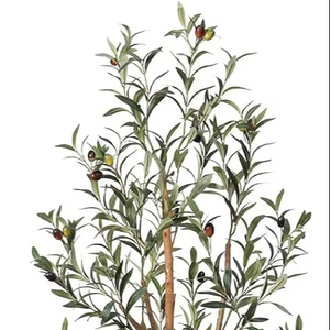 Arbre en pot <span class=keywords><strong>d</strong></span>'intérieur avec des fruits réalistes <span class=keywords><strong>olivier</strong></span> artificiel pour la <span class=keywords><strong>d</strong></span>écoration de bureau à domicile - Product Image 6