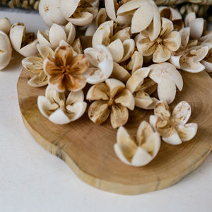 500g de Pistachos con Flores Secas Naturales, Frutos Cruzados, Mini Frutos Felices en Cáscara para Decoración del Hogar, Material para Manualidades de Boda - Product Image 1