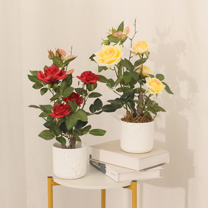 Arbre de Camélia Artificiel de Haute Qualité Rouge/Jaune <span class=keywords><strong>en</strong></span> Pot pour Décoration Intérieure/Extérieure et Aménagement Paysager (Plante de Rose) - Product Image 1