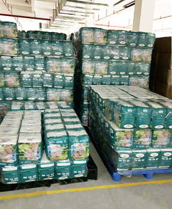 Wholesale High Absorbency <b>Adult</b> Pull up <b>Diapers</b> Pants Elderly Man and Women Disposable <b>Adult</b> <b>Diapers</b> - Product Image 2