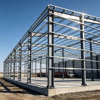 Entrepôt en structure légère en acier, bâtiment de stockage préfabriqué à ossature métallique pour utilisation logistique industrielle
