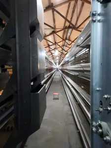 35000 cages en batterie de type H pour <span class=keywords><strong>poules</strong></span> pondeuses, équipement avicole automatique - Product Image 4