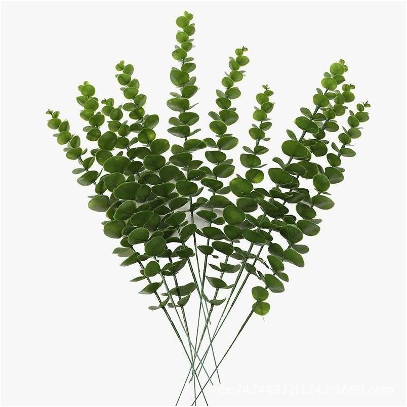 Piccolo eucalipto verde