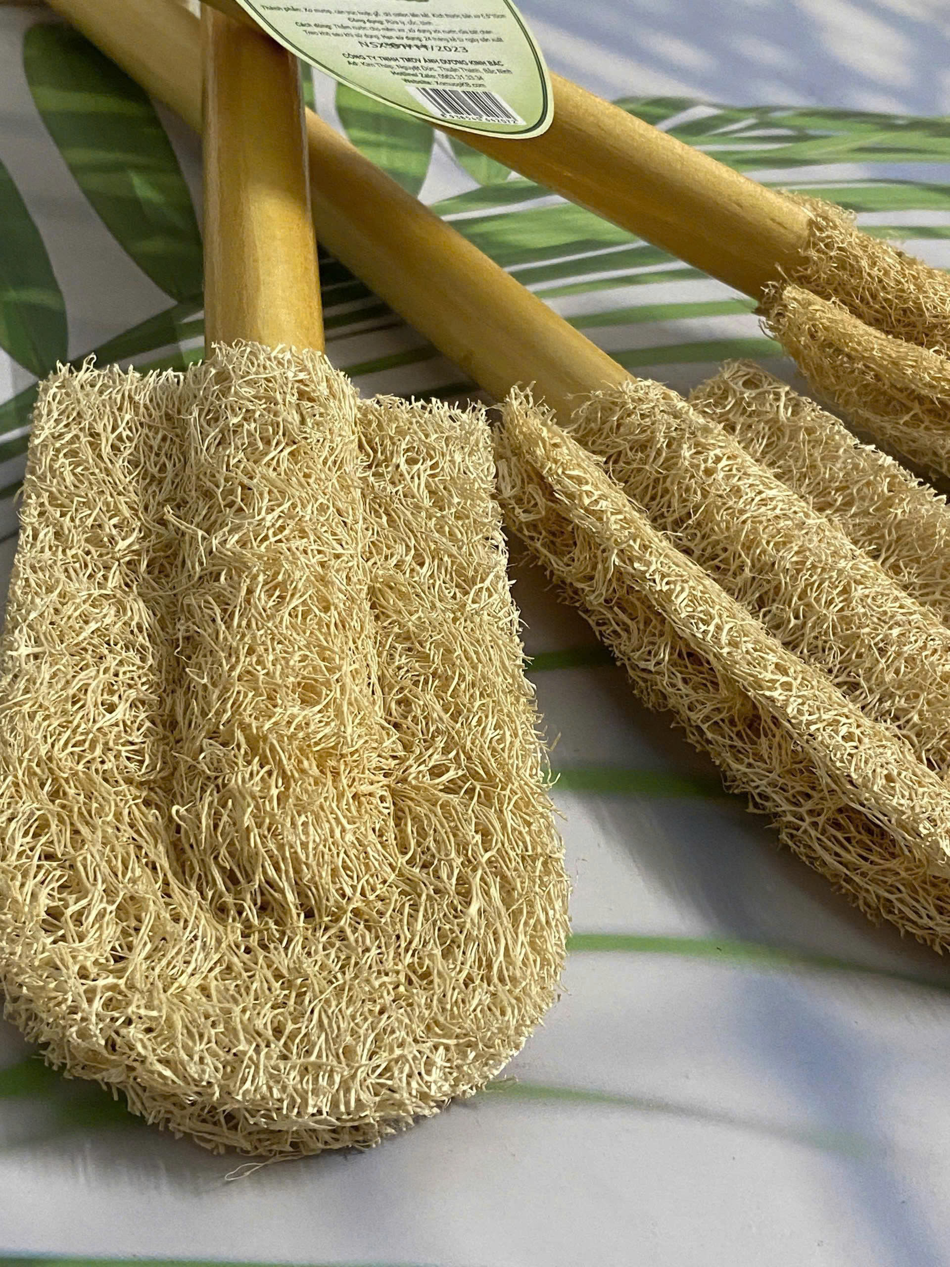 ธรรมชาติ