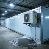 Chambre froide de plain-pied, congélateur rapide pour restaurant, contrôle automatique de la température, dimensions personnalisées pour la marque
