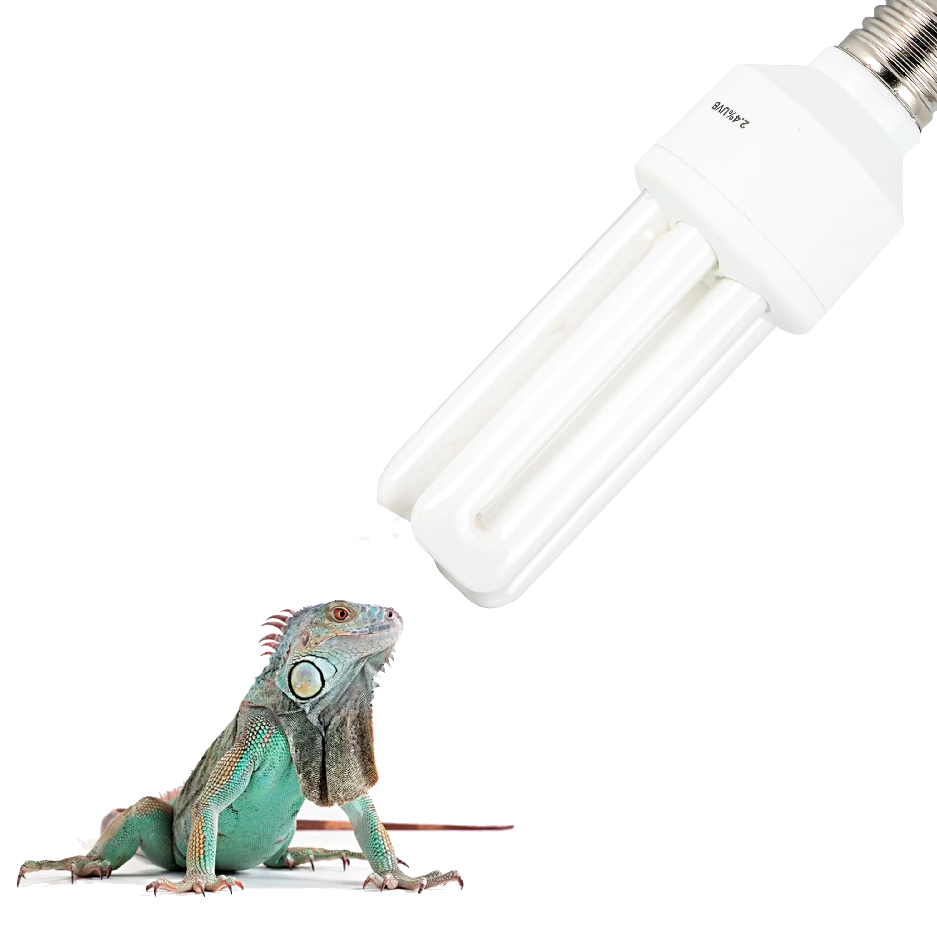 wholesale cheap 120v 220v lizard heat lamp bulb reptile light with uvb