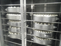 Machine de fermentation commerciale RM de type spray pour boulangerie, donuts, pizza, pain, pâte, armoire, four