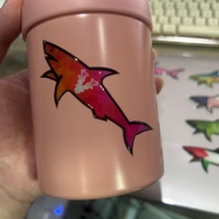 2025 Autocollant Personnalisé 3D Logo Paul Shark Imperméable Décoration Dessin Animé Vente en Gros
