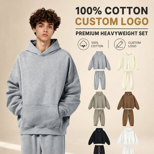 100% Cotton Fleece <strong>Pullover</strong> 430Gsm Oversized Hoodie Custom logo Blank Unisex Suit Heavyweight High Quality Hoodies for <strong>Men</strong> - Product Image 1