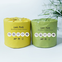 Lampur papier hygiénique écologique absorbant et à chasse d'eau OEM papier toilette en bambou vierge gaufré à dissolution rapide pour salle de bain