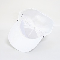 Gorra de Golf Personalizada OEM de Alto Rendimiento con Bordado 3D, Gorra Deportiva de Béisbol para Hombre, Impermeable, Transpirable y Perforada, Venta al Por Mayor
