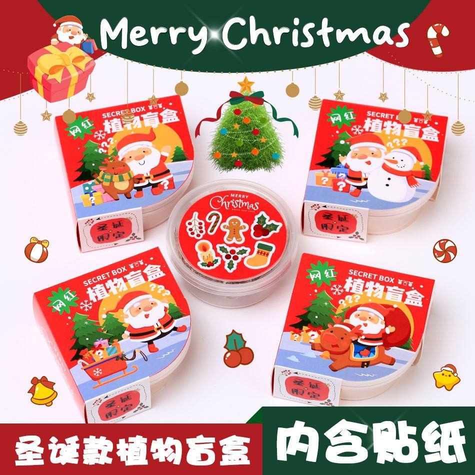 Christmas plant flat blind box