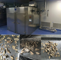 Industriële heteluchtcirculatie droger voor kurkuma, voedsel, fruit, vis en vlees uit de CT-C serie