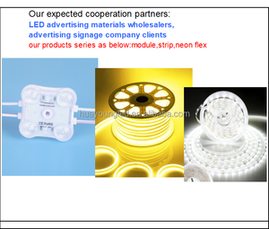 Tira de Luz LED de Silicona a Prueba de Agua IP67, Color Personalizable, DC12V, Recortes de 1cm/2.5cm para Letreros de Neón - Product Image 4