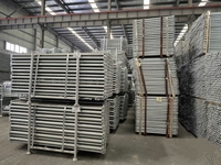 Andamios de Anillo Galvanizado, Sistema de Andamios Modulares de Alta Resistencia, Andamios de Anillo con Hebilla de Disco para Construcción de Puentes