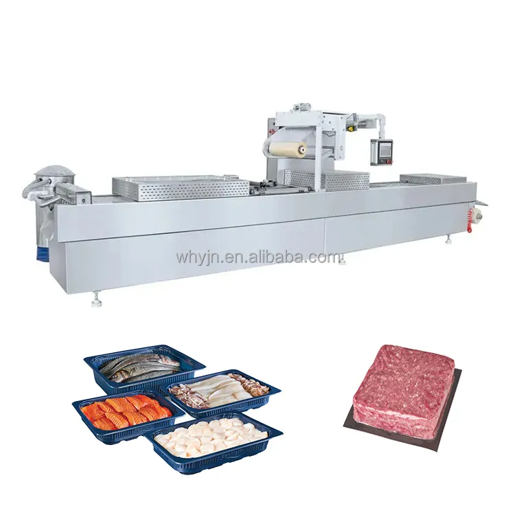 Nuova macchina termoformatrice per termoformatura di patate a base di carne vegetale ad alta capacità macchina termoformatrice in plastica