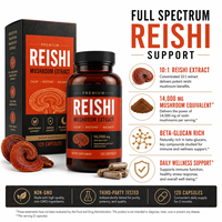 14000mg Hoogwaardig Reishi Paddenstoel Extract Ganoderma Lucidum met 400mg Beta-Glucanen 120 Capsules Immuunondersteuning Bulk OEM