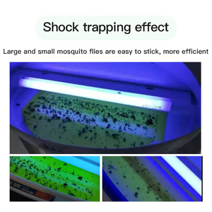 Nueva Trampa Adhesiva Amarilla de Doble Cara para Insectos, Diseño de Rejilla Ecológico, Trampas de Plástico para el Control de Plagas en Huertos y Jardines - Product Image 3