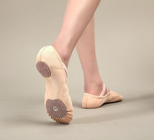 Zapatos de <span class=keywords><strong>Ballet</strong></span> de moda para mujer, zapatos elásticos de lona para niñas, zapatos de baile de <span class=keywords><strong>Ballet</strong></span> de suela blanda, zapatos planos de <span class=keywords><strong>Ballet</strong></span> con garra de gato para Yoga profesional - Product Image 2