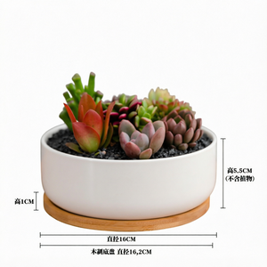 Pot de fleurs en céramique blanche émaillée pour plantes succulentes – Contenant minimaliste pour plantes de bureau pour la décoration de la maison et du bureau - Product Image 1