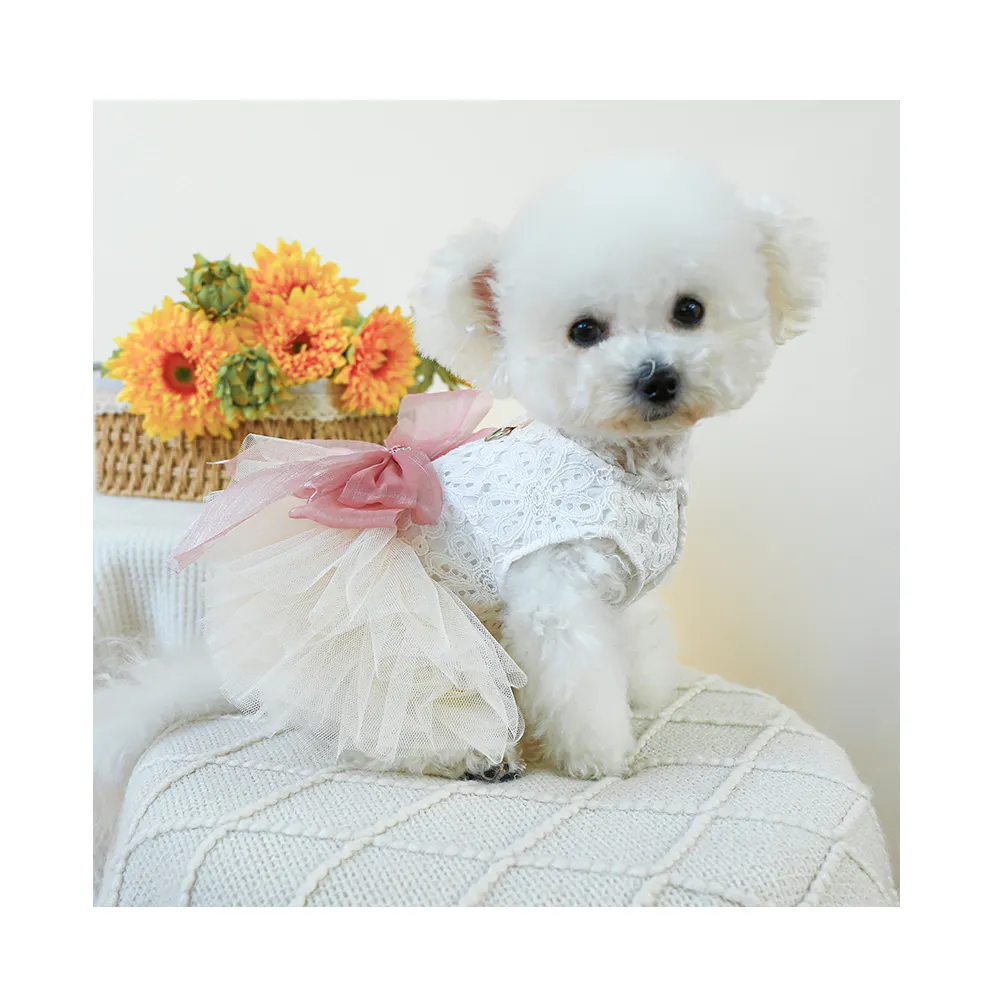 Vestido de verano para mascotas Princesa Lace Bow Cute Dog Dress