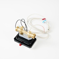 Medidores de Calor Ultrasónicos DN15 DN1000 (Medidores de BTU) de Hierro Fundido